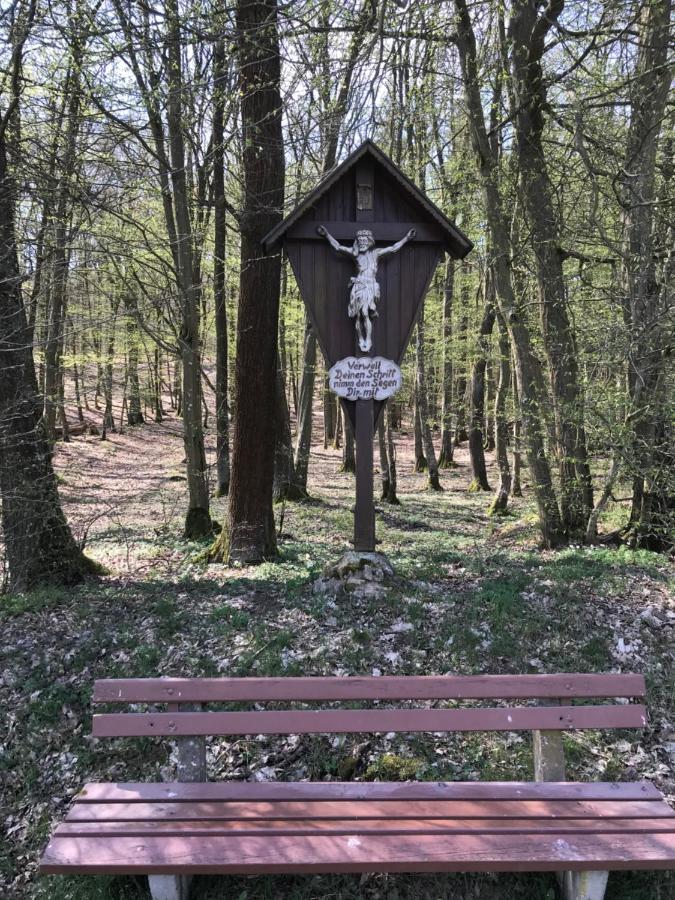 Pension-Ferienwohnung Liesbachtal Direkt Am Waldrand Bayerische Rhoen Schönau an der Brend Eksteriør bilde