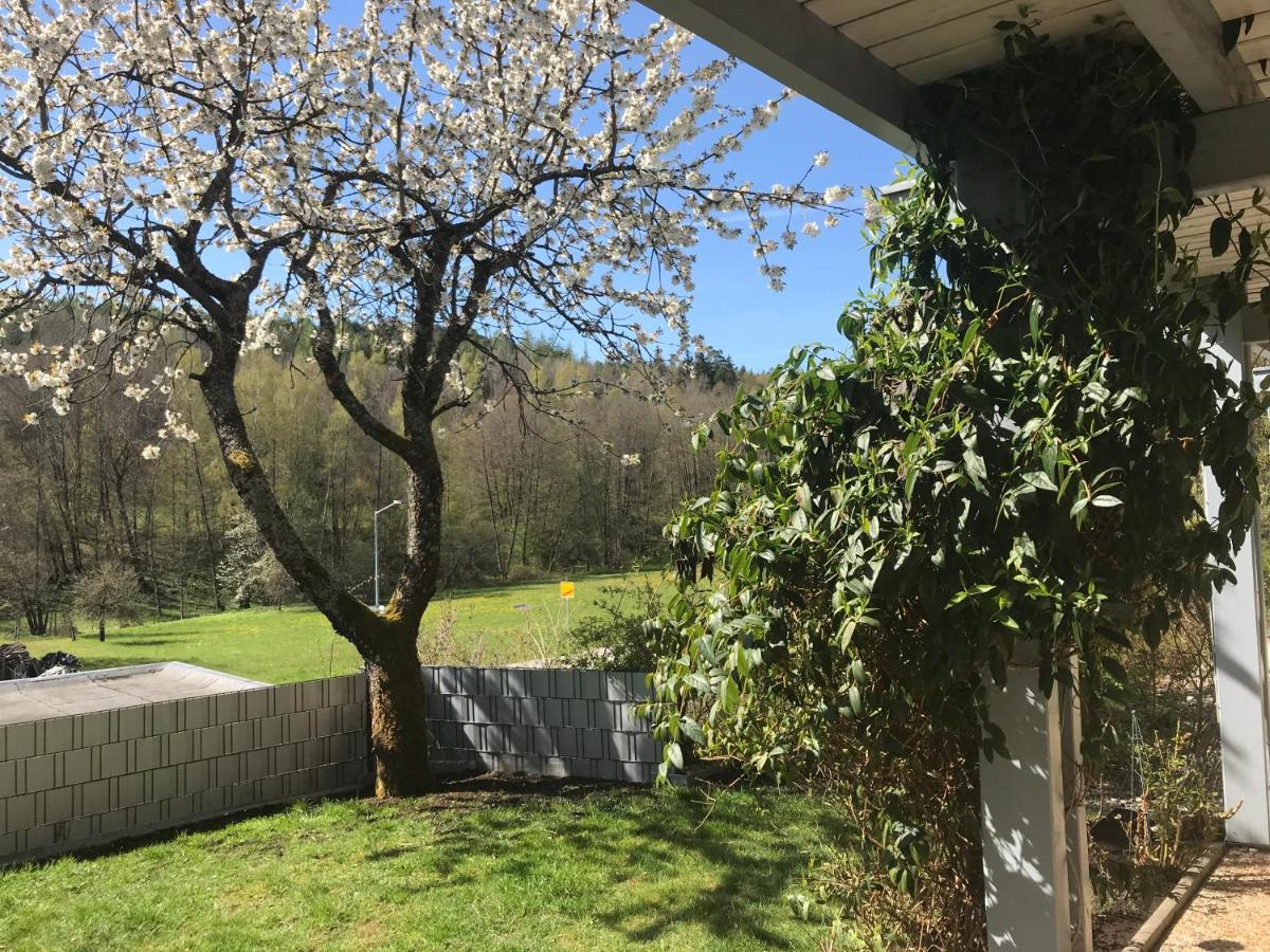 Pension-Ferienwohnung Liesbachtal Direkt Am Waldrand Bayerische Rhoen Schönau an der Brend Eksteriør bilde