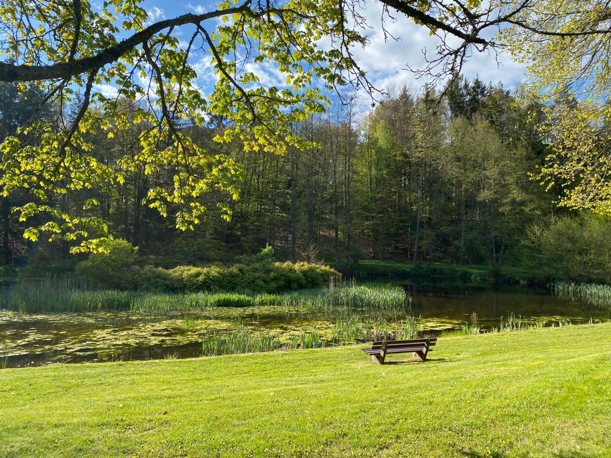 Pension-Ferienwohnung Liesbachtal Direkt Am Waldrand Bayerische Rhoen Schönau an der Brend Eksteriør bilde