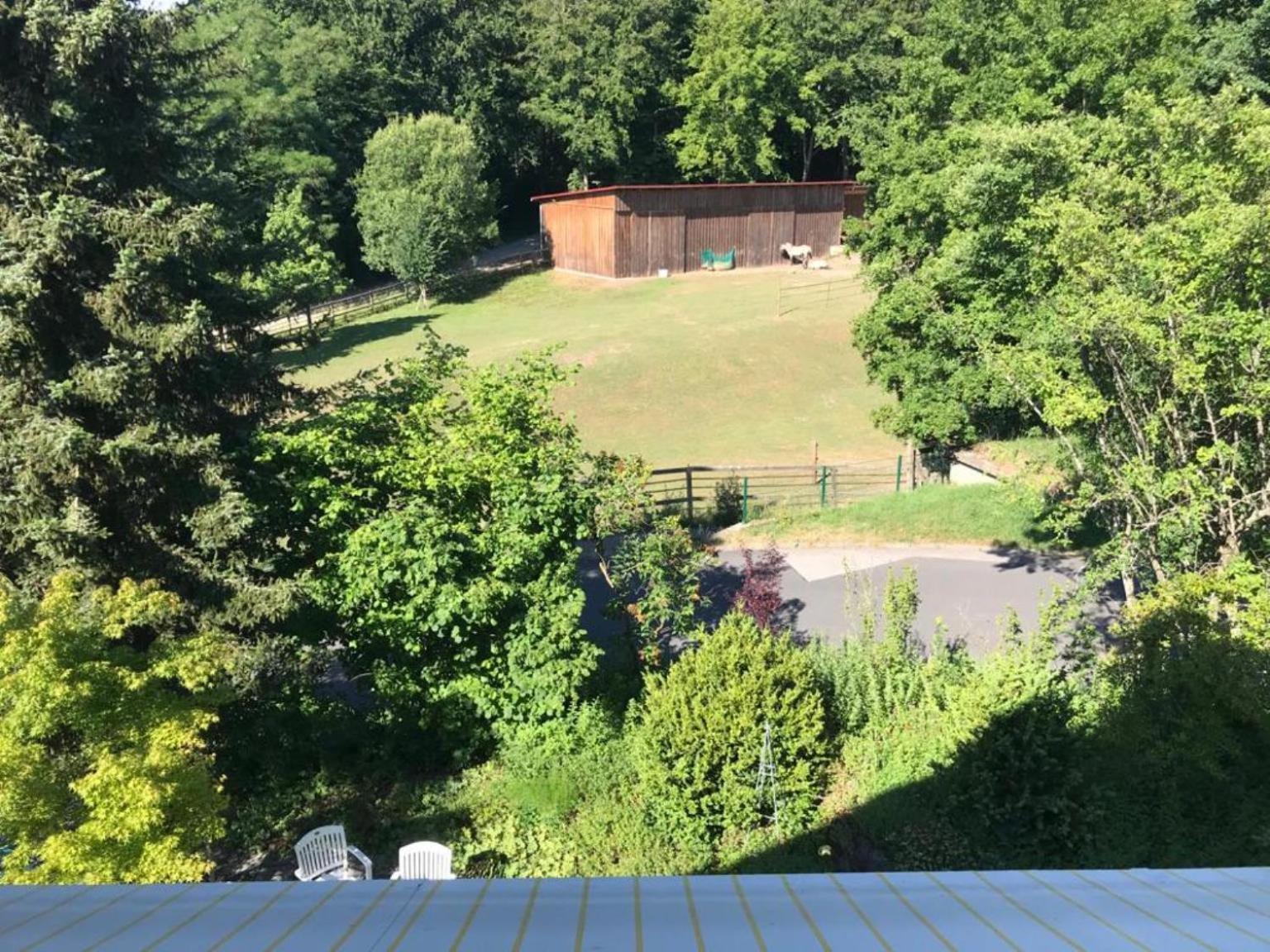 Pension-Ferienwohnung Liesbachtal Direkt Am Waldrand Bayerische Rhoen Schönau an der Brend Rom bilde