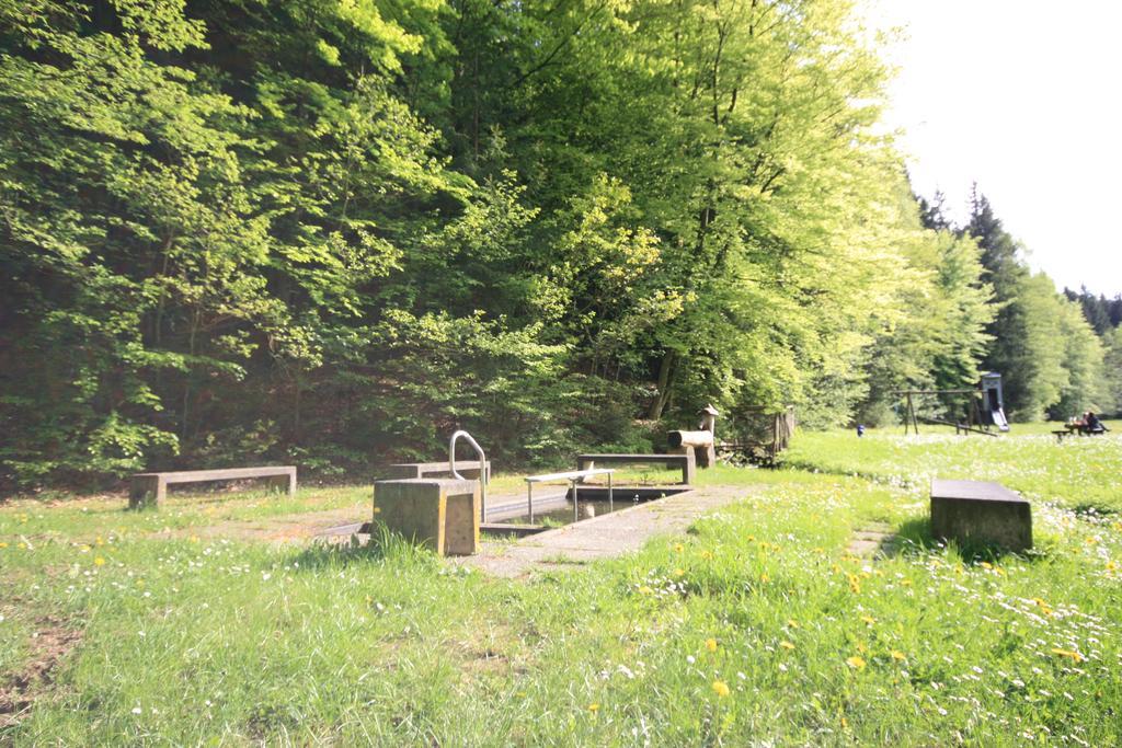 Pension-Ferienwohnung Liesbachtal Direkt Am Waldrand Bayerische Rhoen Schönau an der Brend Eksteriør bilde